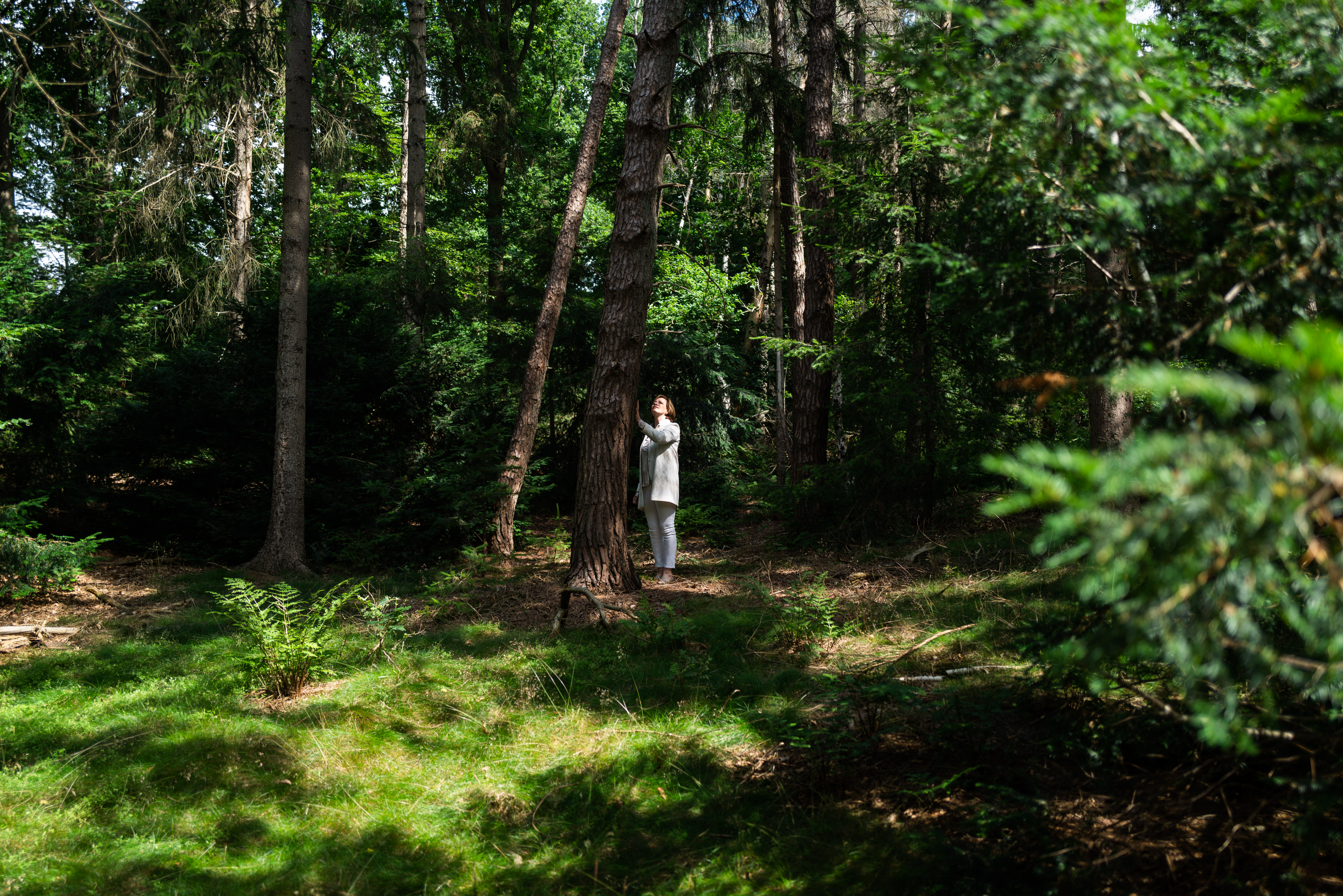 220704 75 Fabergroup 01409 (1)