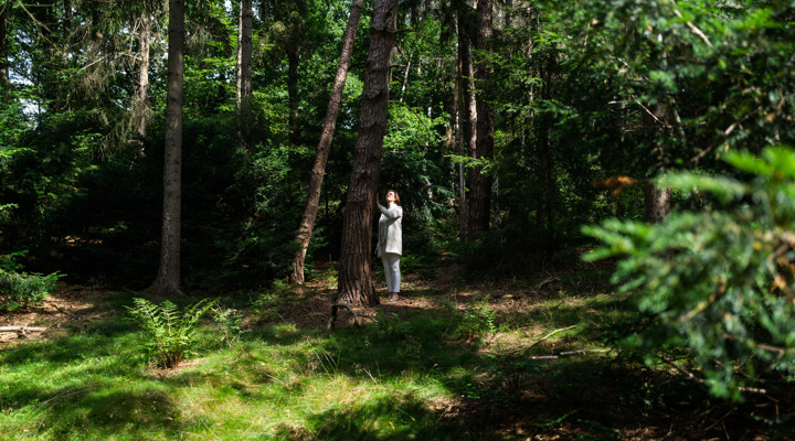 220704 75 Fabergroup 01409 (1)