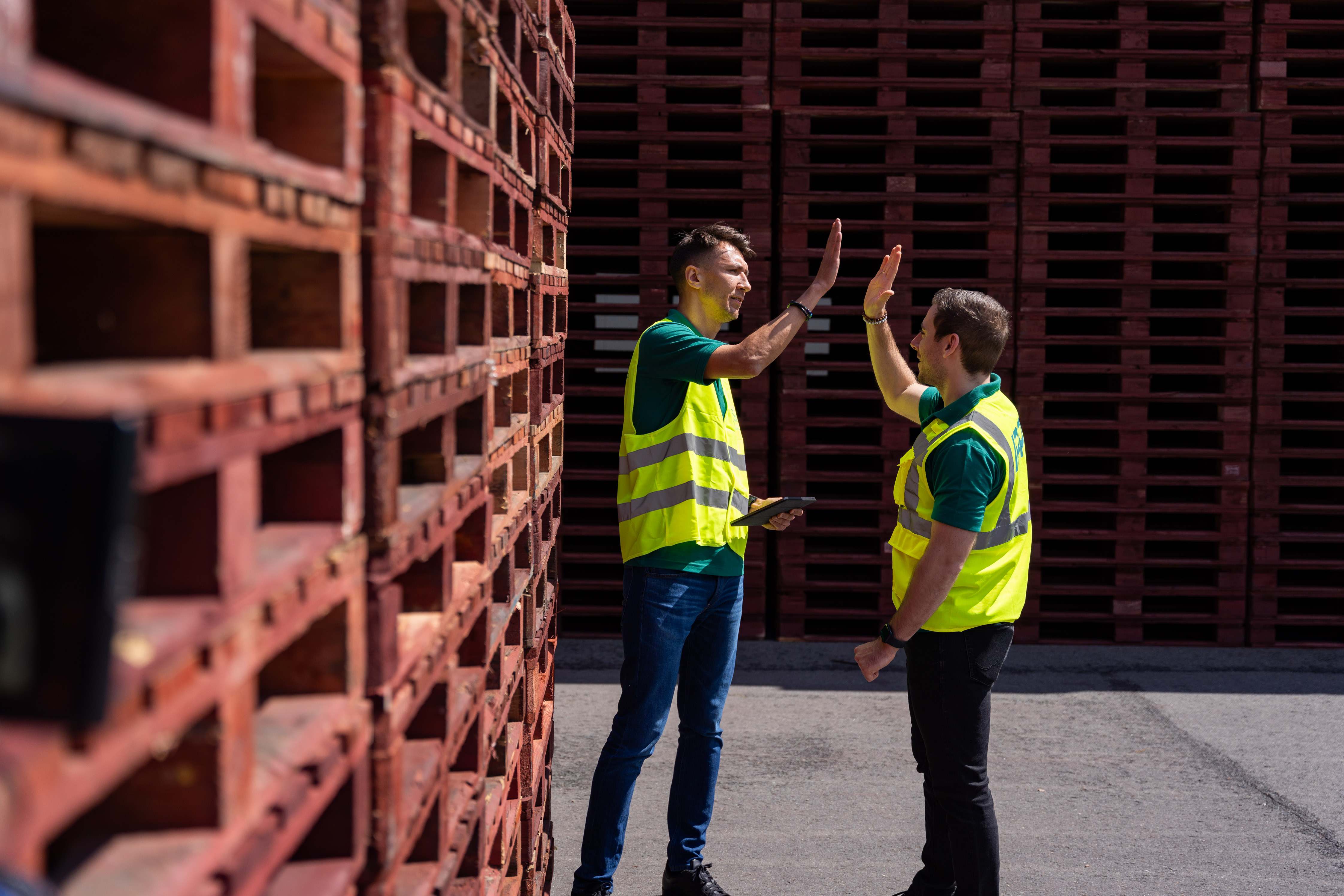 Ipp 050713333501500Svs (1)