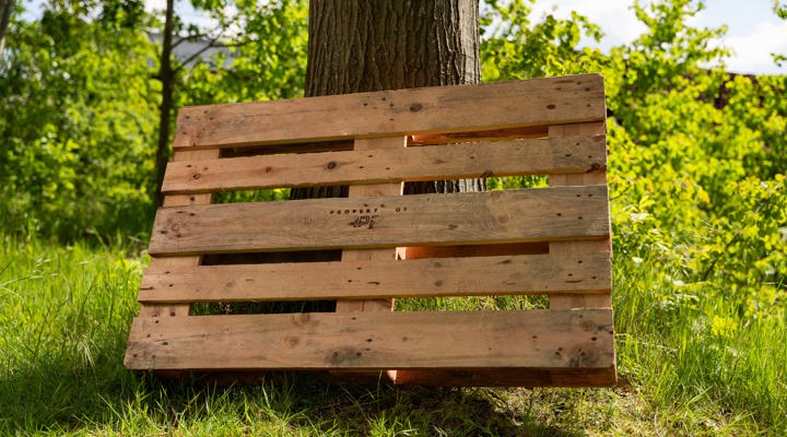 IPP 050714180901821SVS